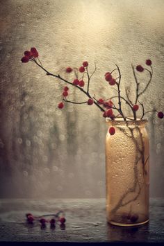 a vase filled with red flowers sitting on top of a wooden table next to a window