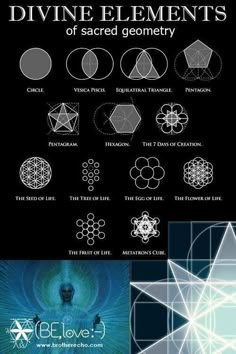 Twitter / xDredUK: Sacred Geometry. ... #graphic #design www.charlotteheals.com Spirit Molecule, Egg Of Life, Scared Geometry, Symbols And Their Meanings, 7 Days Of Creation, Life Study, Days Of Creation