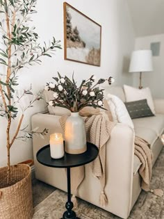 a living room with a couch, coffee table and potted plant on the side