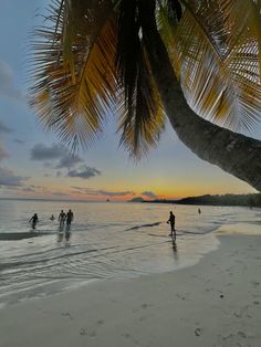 people are walking on the beach at sunset with palm trees in the foreground and water below