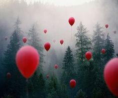 many red balloons are floating in the air above some trees and foggy sky,