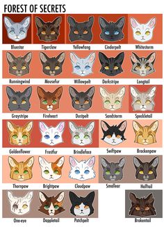 an image of different types of cats with their names in english and german, including the name