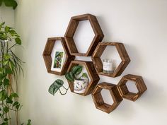 three wooden hexagonal shelves on the wall with plants and pictures hanging from them