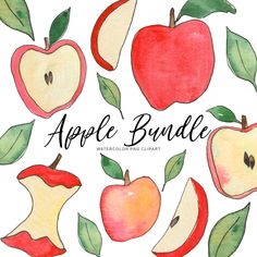 watercolor apples and leaves with the words apple bundle written below them in cursive writing