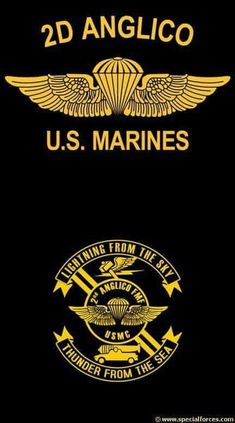 two navy emblems are shown on the back of a black book cover with gold lettering