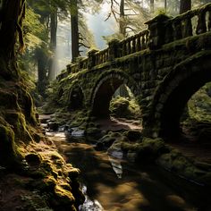 a stone bridge over a small stream in the forest with moss growing on it's sides