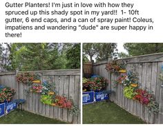 two pictures of flowers on a fence with the caption saying, gutter plants i'm just in love with how they sp centreed up this shady spot in my yard