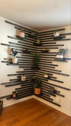 a room that has some shelves on the wall with plants in them and potted plants