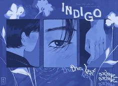 an image of the cover art for indigo