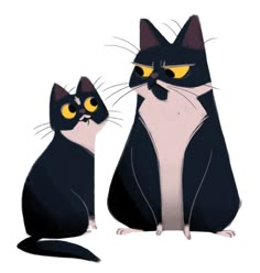 two black and white cats with yellow eyes sitting next to each other on a white background