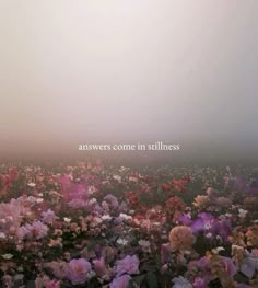 a field full of flowers with the words answers come in stillness