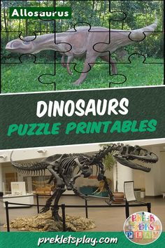 Printable picture puzzles of a dinosaur and its fossil for preschool kids to practice developing their spatial awareness and fine motor skills. Download this activity to play with other dinosaur puzzle printables. Spatial Awareness Activities, Concentration Activities For Kids, Concentration Activities, Dinosaur Preschool, Fine Motor Skills Activity, Puzzle Activities, Preschool Puzzles, Fun Educational Games, Dinosaurs Preschool