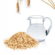 oatmeal and milk in a glass pitcher next to ears of wheat on a white background