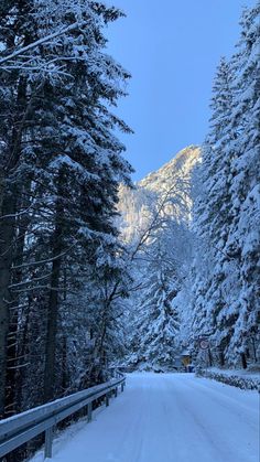 a snowy road surrounded by trees and mountains