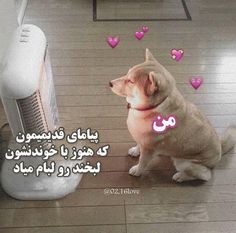 a dog sitting on the floor next to an air conditioner with hearts flying around it