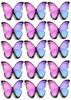 many pink and blue butterflies are arranged together