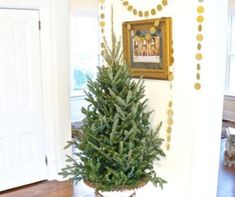 a small christmas tree sitting in a pot on the floor next to a door way