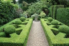 a very nice looking garden with lots of hedges