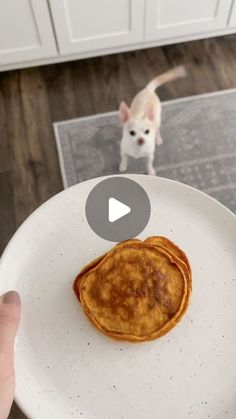 a person holding a plate with pancakes on it and a small dog standing behind them