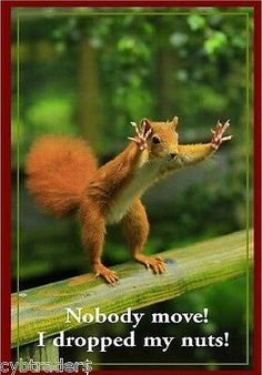 a squirrel is standing on top of a tree branch with its paws in the air