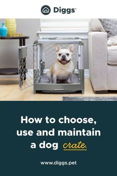 a dog sitting in its cage with the words how to choose, use and maintain a dog crate