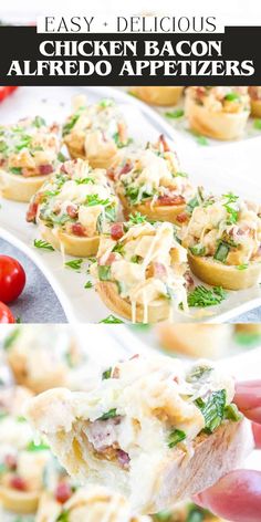 These Chicken Bacon Alfredo Appetizers are hearty, filling, and full of the classic flavors you love. They make a perfect party appetizer and are surprisingly easy to make.