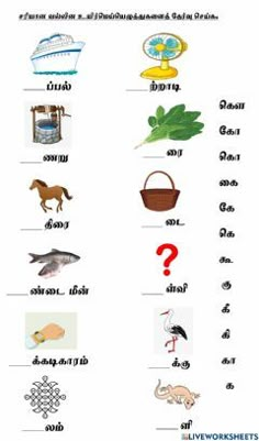 an image of different types of animals and things in the world with pictures on them