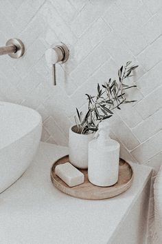 a bathroom sink with soap and an olive branch on the counter top next to it