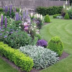 a garden filled with lots of different types of flowers