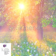 the sun shines through trees and grass in a field with dandelions on it