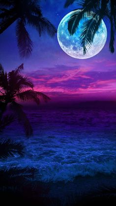 the full moon is setting over the ocean with palm trees in front of it and purple sky