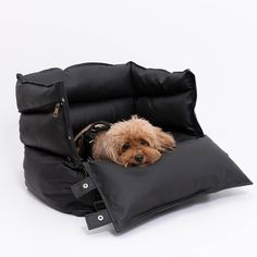 a small dog laying on top of a black bag