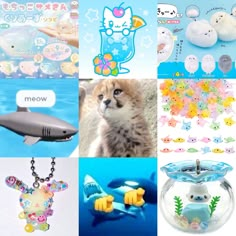 there are many different items in this collage that include cats, fish, and other things