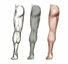 three different types of legs are shown in this drawing