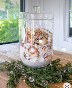 a glass jar filled with sea shells on top of a wooden table next to pine branches