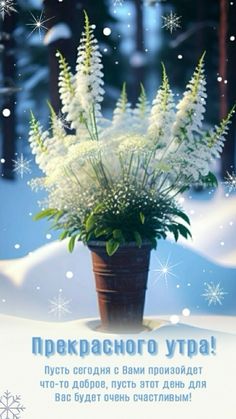 a bouquet of white flowers sitting on top of a snow covered ground