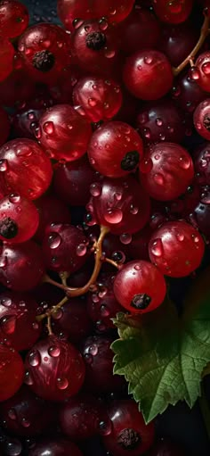 grapes with water drops on them and a green leaf