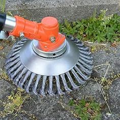 an orange and black brush sitting on top of a cement ground next to green plants