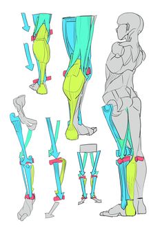 the legs and feet are shown with different angles