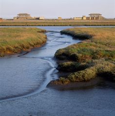 a river running through a lush green field next to tall grass covered fields and houses