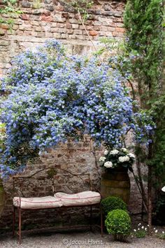 a bench sitting next to a stone wall with blue flowers growing on it's side