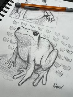 a drawing of a frog sitting on top of a piece of paper next to a pencil