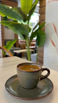 a cup of coffee sitting on top of a saucer next to a potted plant