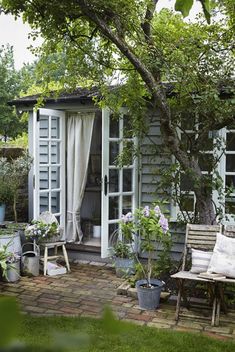 a garden shed with lots of plants and flowers in the front yard, next to a bench