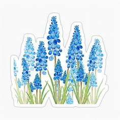 blue flowers sticker with watercolor effect on the bottom and green stems in the middle