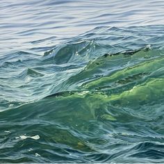 an animal swimming in the ocean with green algae