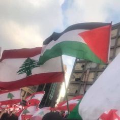 many people are holding flags in the street