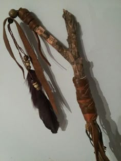 two pieces of driftwood are hanging on the wall next to a branch with feathers