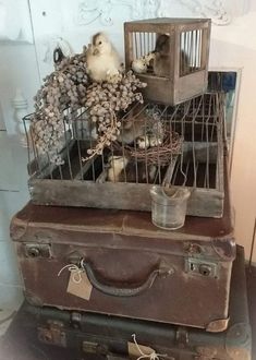 two birds in cages sitting on top of an old suitcase and another bird is inside the cage