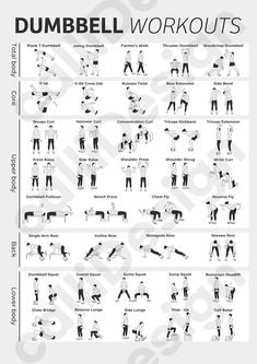 the dumbbell workout chart shows how to do it